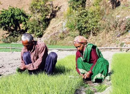 Weaving the Tapestry of Transformation Weaving the Tapestry of Transformation