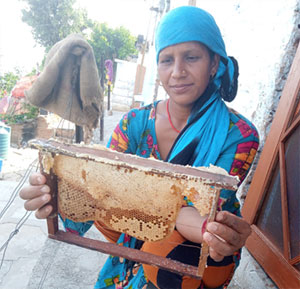 Empowering women through beekeeping and sustainable agriculture in Dugadda cluster