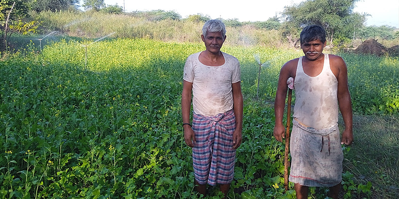 Farmers adopt micro-irrigation methods like installing sprinklers on their farms