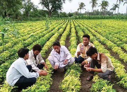 Farming afresh Farming afresh