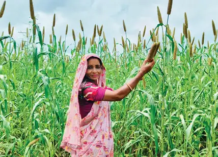 Creating a climate for smart farming Creating a climate for smart farming