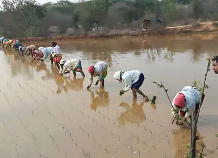 Weaving the Tapestry of Transformation Weaving the Tapestry of Transformation