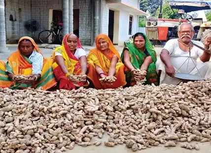 Spice Rise Spice Rise