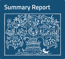 Summary Report