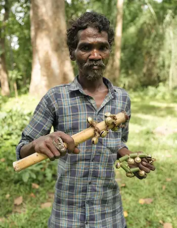 Tribal musician Bala with Jenu Kuruba music instruments kai gajje and kal gajje from Arpo’s earlier documentation project. Tribal musician Bala with Jenu Kuruba music instruments kai gajje and kal gajje from Arpo’s earlier documentation project.