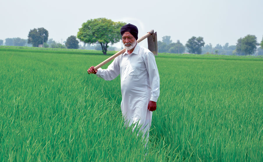 North India