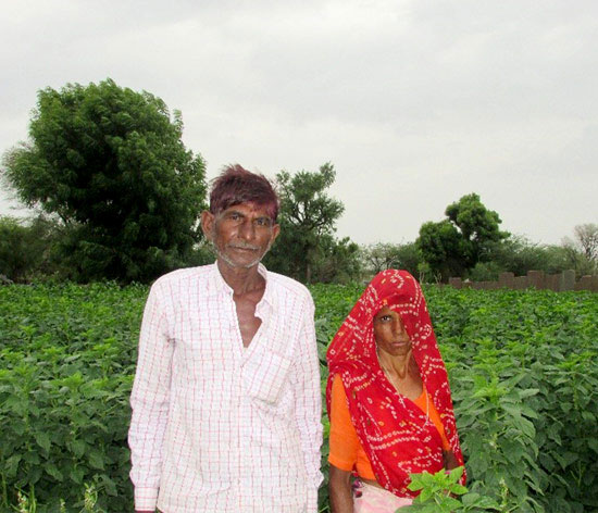 Mohan and Pushpa are ensuring a better living by working on their agricultural land