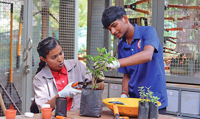 A booster dose for hands-on learning