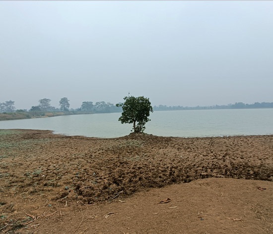 The ex-malgujari tank at Peth Tukum after completion of the desilting work The ex-malgujari tank at Peth Tukum after completion of the desilting work