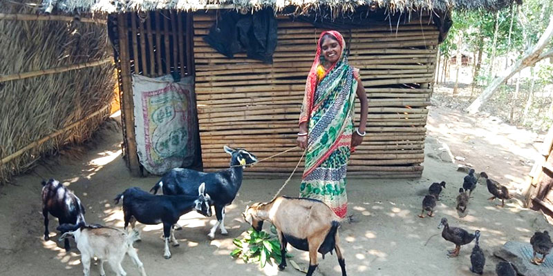 Rekha Devi with her goats