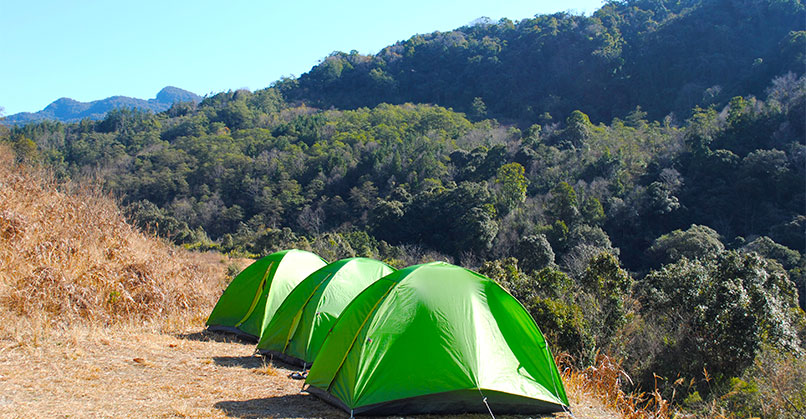 Designated tourist-campsite in Dzüleke Village