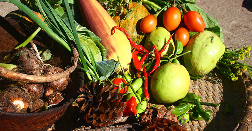 Locally grown organic vegetables are used for cooking