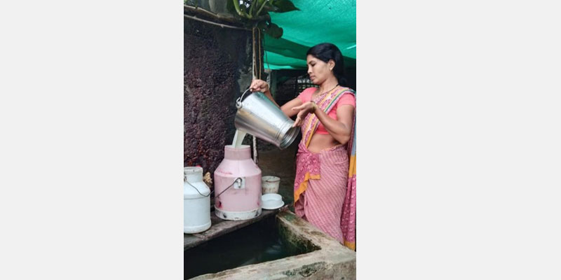 Chitra now uses best practices in dairy farming
