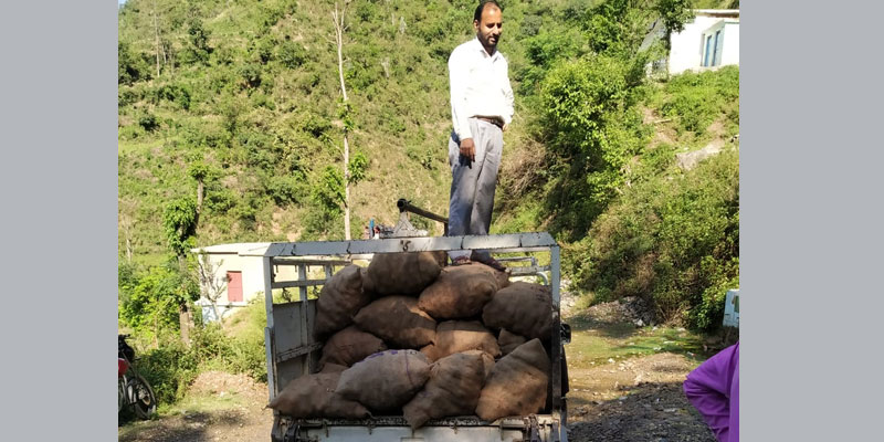 The cooperative arranged for the storage of the harvested potato crop at a central location.