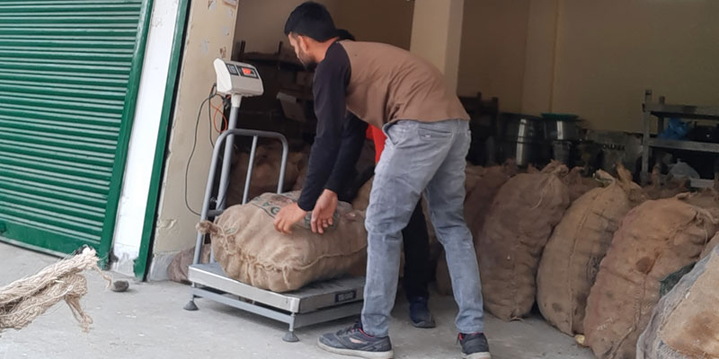 The potatoes being graded and packed