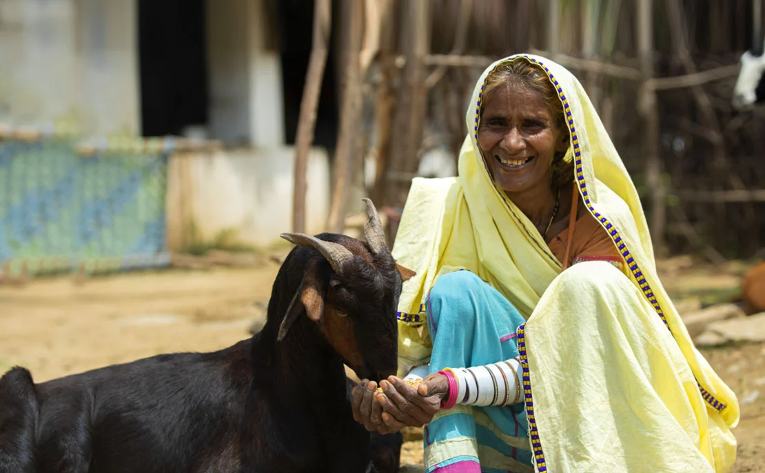 Livelihood