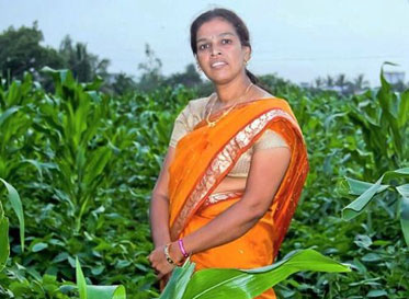 Manasi Kulkarni on her farm in Nandgaon, Maharashtra, India (Vishal Yadav for Dharma Life) Manasi Kulkarni on her farm in Nandgaon, Maharashtra, India (Vishal Yadav for Dharma Life)