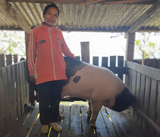 At 56, Mrs Darchuailovi has become a role model for her rural community thanks to a NEIDA supported pig farming intervention At 56, Mrs Darchuailovi has become a role model for her rural community thanks to a NEIDA supported pig farming intervention