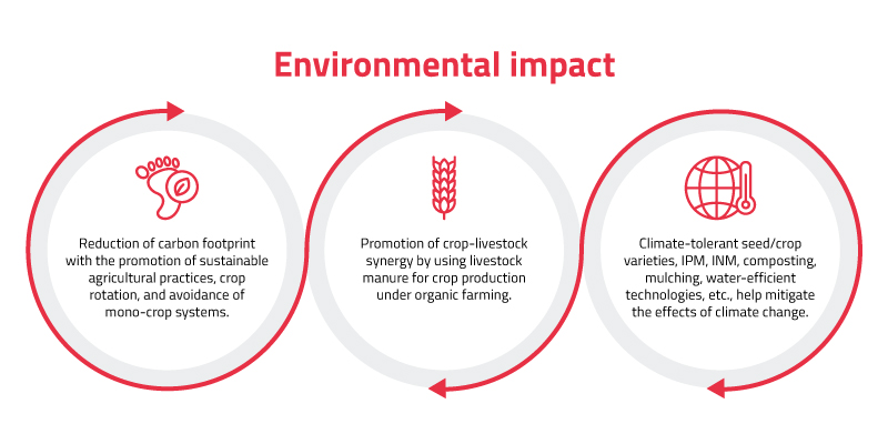The Trusts’ interventions have had a major impact at individual, community and environmental levels.