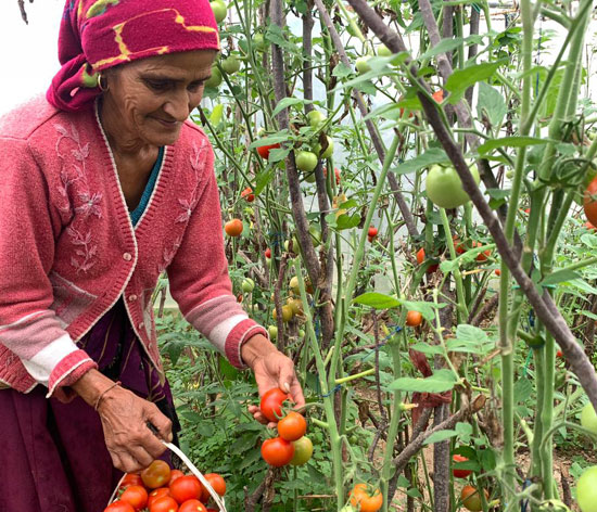 Roopa Devi with her high-yielding varieties of vegetables