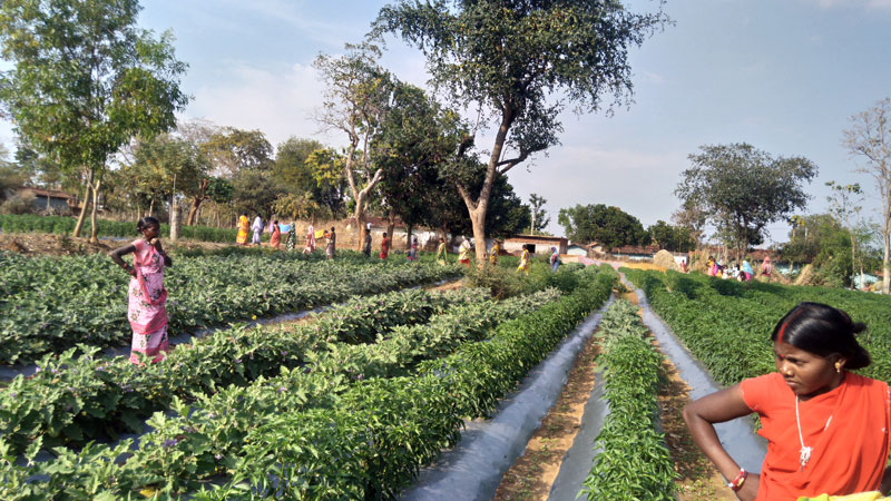 69 families benefitted from the Tata Trusts-supported programme executed by CInI