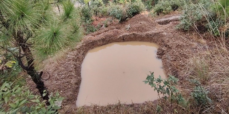 A brimming recharge pond after winter rainfall (January 2023)