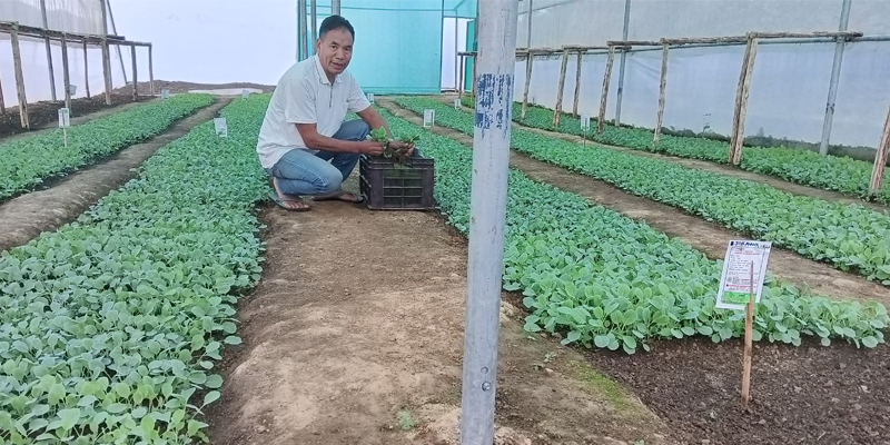 Ayenmongba showcasing his home-grown fresh produce