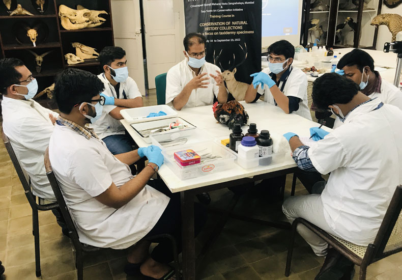 Visiting faculty Dr Manoj Sharma discussing the various methods of skinning birds with the participants