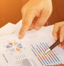 Surveys and Reports