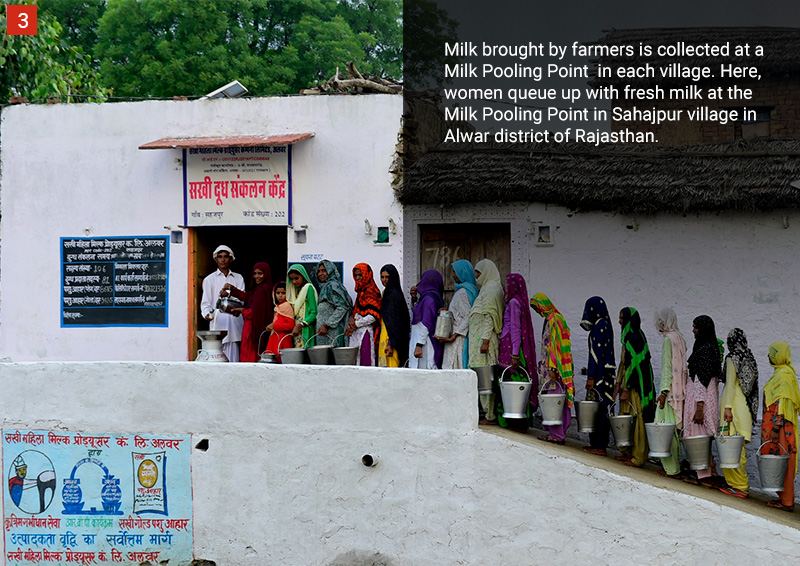 Tata Dairy Mission of the Tata Trusts