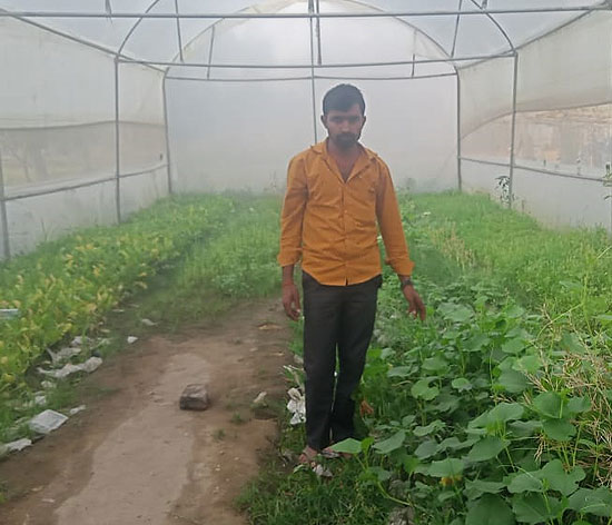Tilak Ram, 35, in his high-tech vegetable nursery that was set up with help from the Trusts’ Sujalam Sufalam Initiative in Vishambharpur, a village in UP’s Shravasti district Tilak Ram, 35, in his high-tech vegetable nursery that was set up with help from the Trusts’ Sujalam Sufalam Initiative in Vishambharpur, a village in UP’s Shravasti district