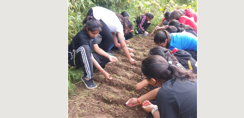 Children from the MIS school learn to farm