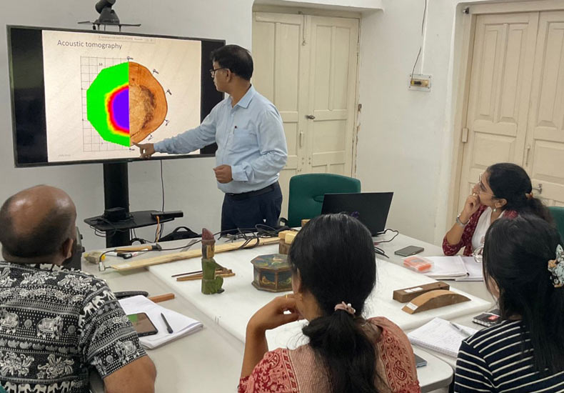Lecture on the use of acoustic tomography, a non-destructive method to assess wood by visiting faculty Dr. Shakti Chauhan