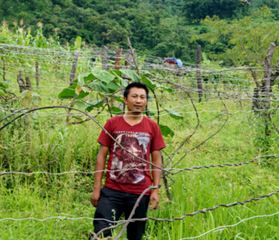 With improved knowledge about farming and allied activities, Z Thotreichan (Razai Khullen Village, Ukhrul District, Manipur), is now able to earn a decent income from his family farm With improved knowledge about farming and allied activities, Z Thotreichan (Razai Khullen Village, Ukhrul District, Manipur), is now able to earn a decent income from his family farm