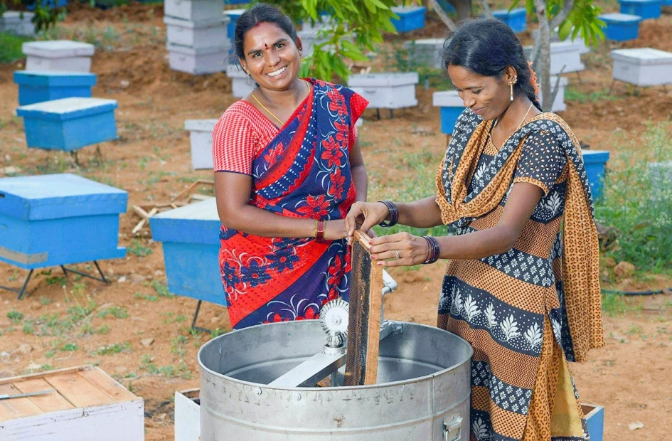 Rural Livelihoods