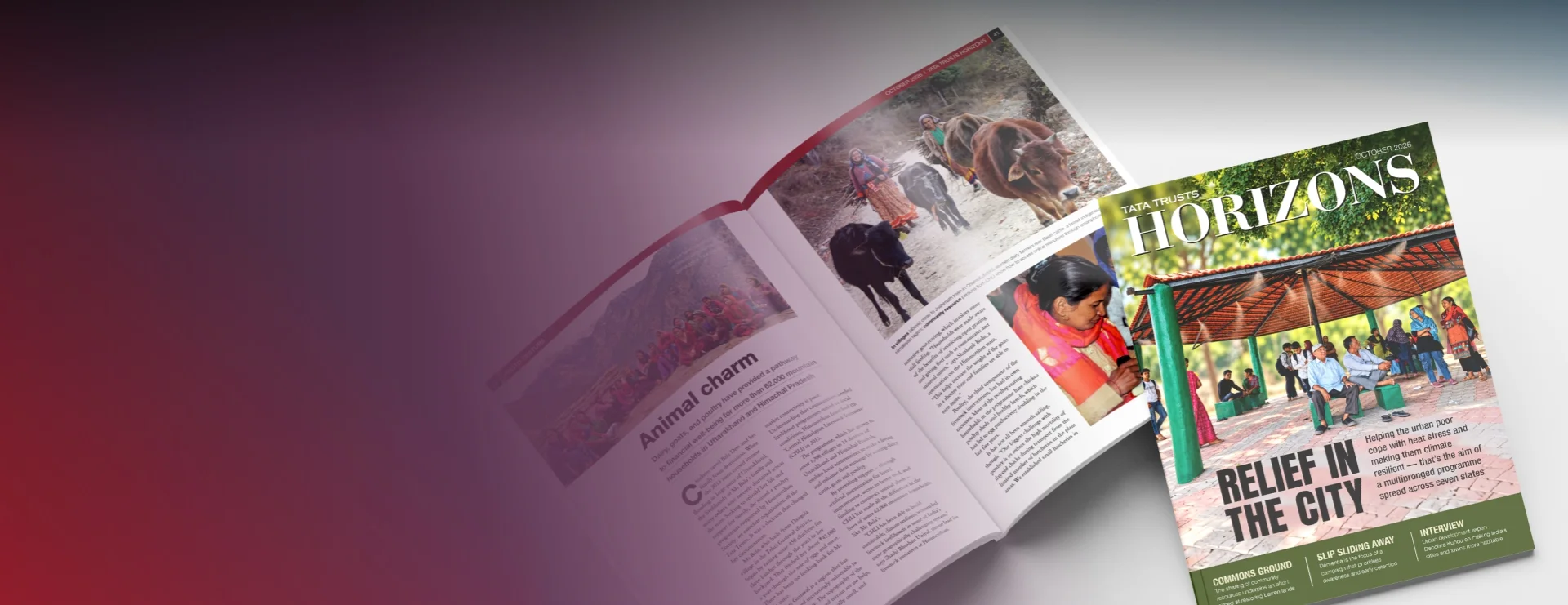Tata Trusts Horizons magazine