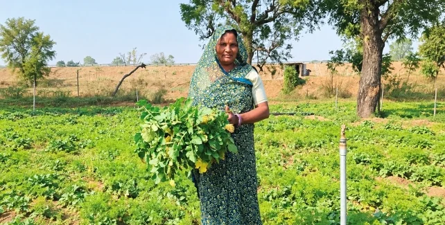Alleviating Rural Poverty Through Climate-resilient Farming illustration