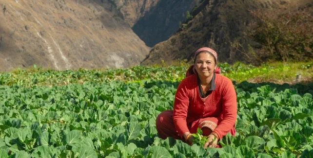 Transforming Subsistence Farming in the Himalayas illustration