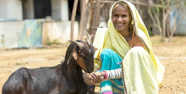 Training Women in Animal Welfare and Health Practices illustration