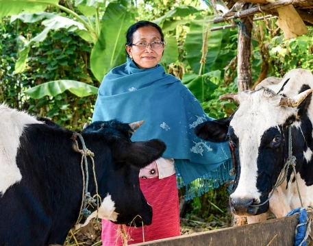 Non-Farm Livelihoods illustration