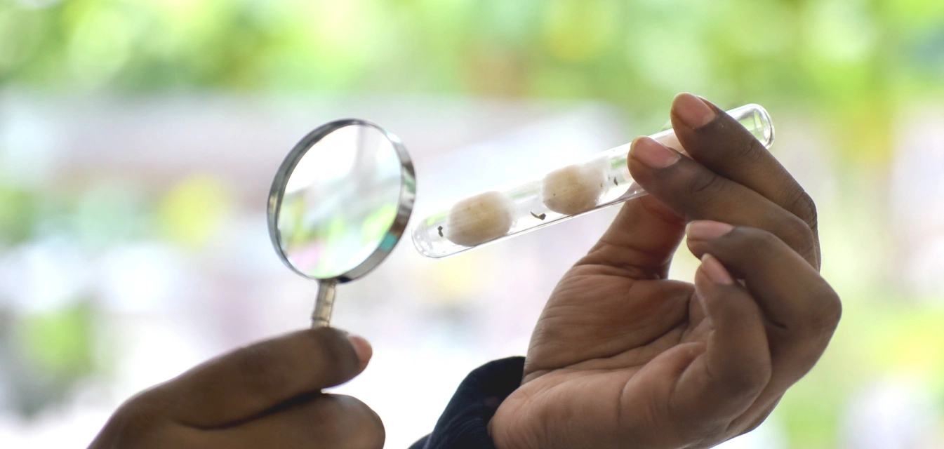 India's Malaria Elimination Strateg Digital Health, AAMs and Genetic Innovation India's Malaria Elimination Strateg Digital Health, AAMs and Genetic Innovation