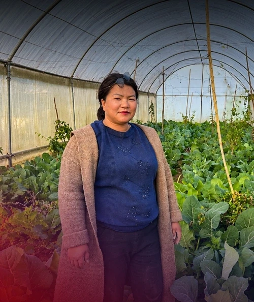 From Fallow Fields To Flourishing Farms