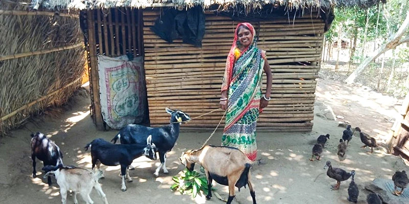 Rekha Devi with her goats