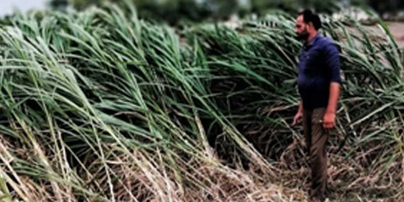 Clearing fields of crop residue and stubble is a challenge for farmers.