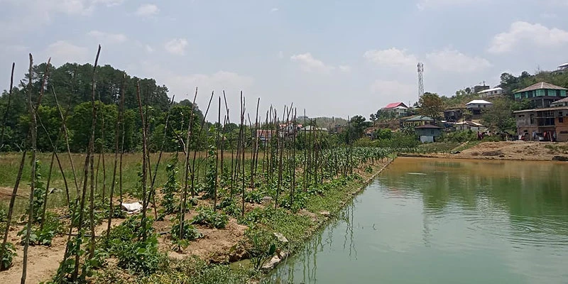 Lalnunkimi’s pond is a reflection of dedication and growth.