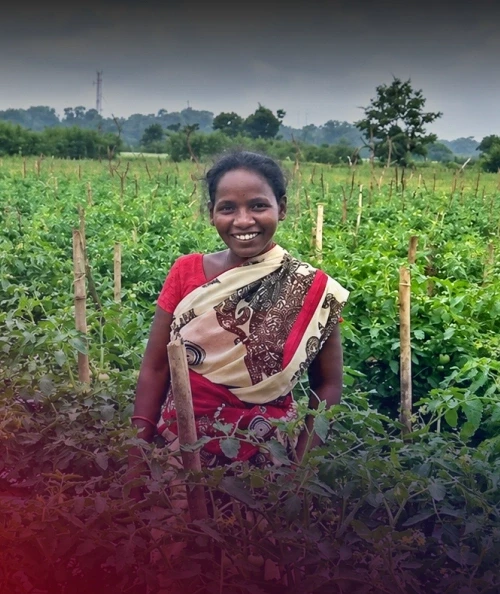 A Holistic Approach To Community Welfare