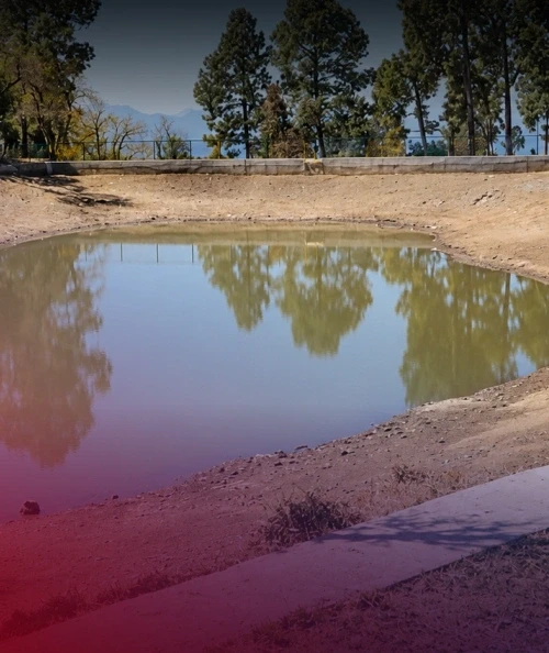Sustainable Solutions For Perennial Water Woes