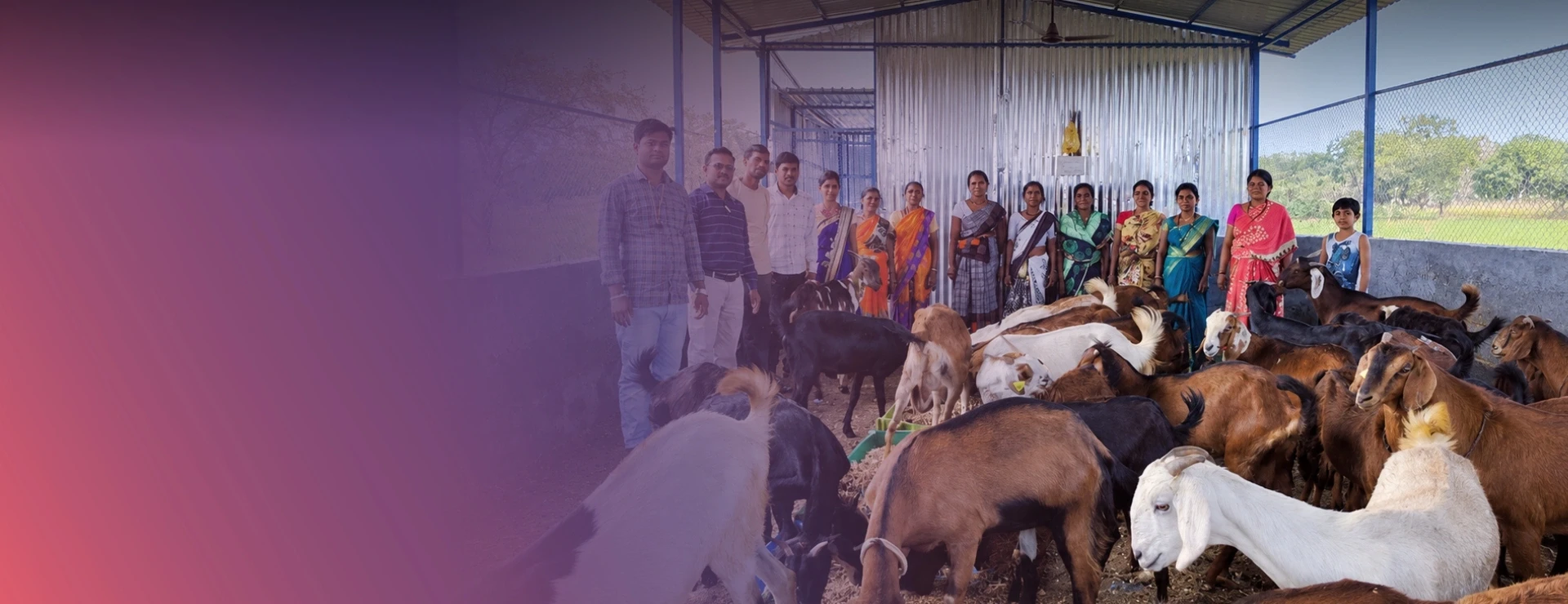 Women SHGs Earn Through Goat Rearing