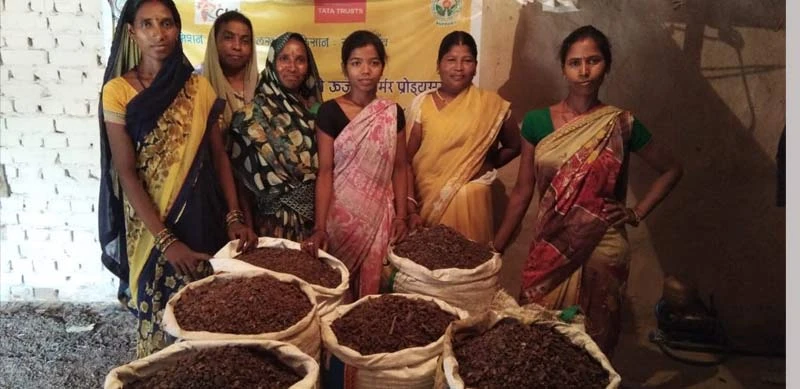 The seedlac is ready to be processed into shellac.