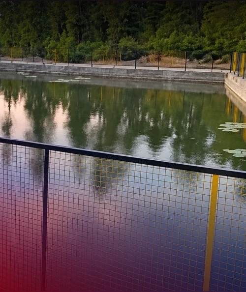Dayarani Lake Reclaims Its Water